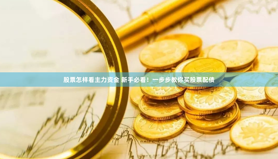 股票怎样看主力资金 新手必看！一步步教你买股票配债